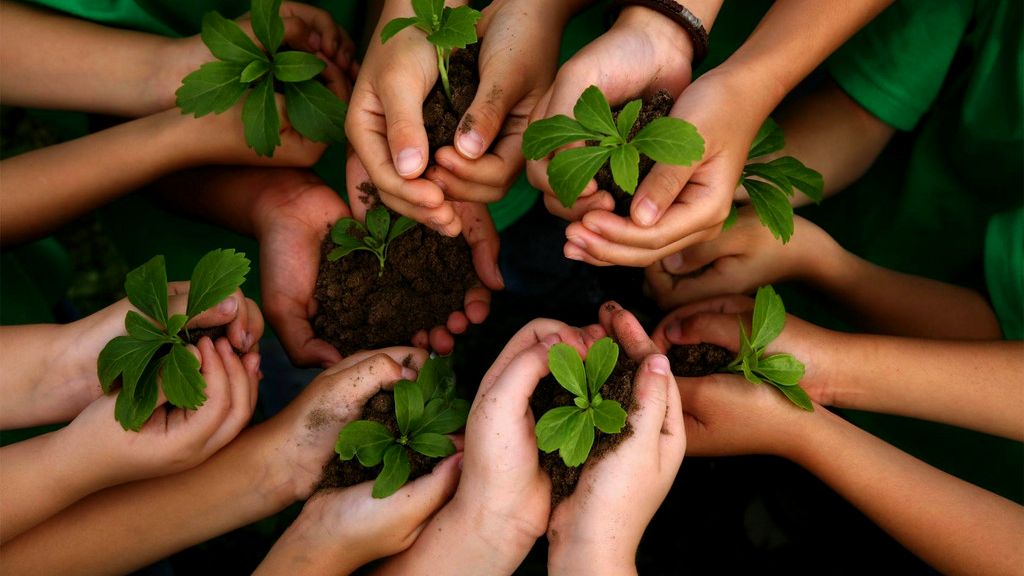 Explorando os benefícios da certificação vegana para o meio ambiente