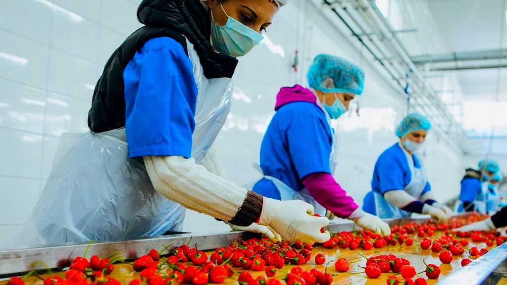 O significado da certificação vegana para a segurança alimentar