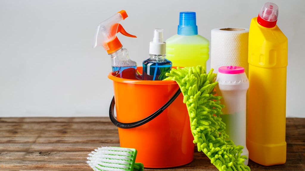 Vegan Criteria for Home and Household Products: Creating a Cruelty-Free Environment