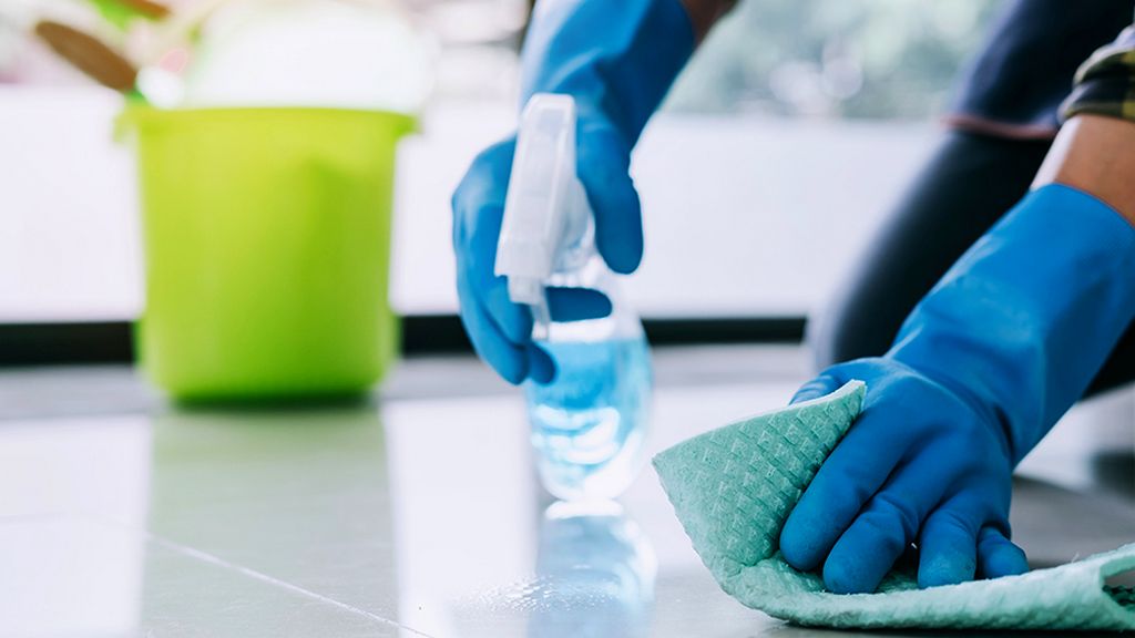 Vegan Testing for Cleaning Products
