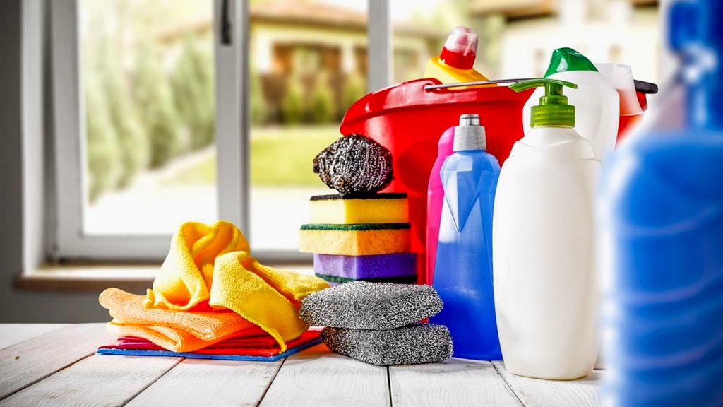 Vegan Testing for Household Products