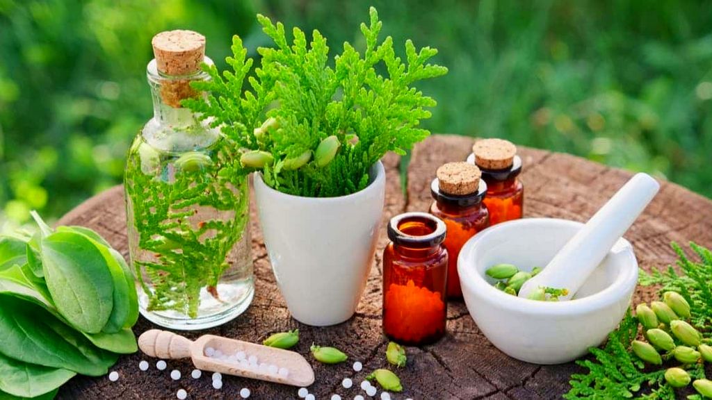 Veganismo y belleza: opciones basadas en plantas para un régimen compasivo